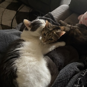 Fundraising Page: Bri Lefferts